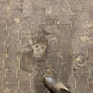 Meet your Posher, Mari